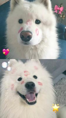 ฟีดอีกที