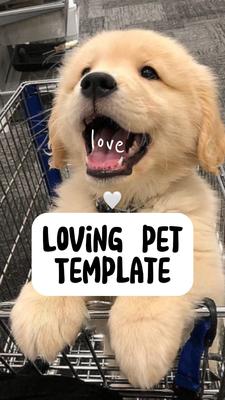 Pet Love 🤍