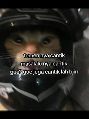 VERSI NO MIROR