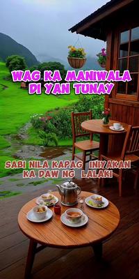 BABAERO PARIN PALA