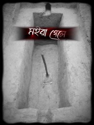 মইরা গেলে..!