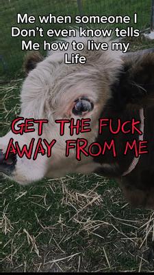 Haahah get the f 