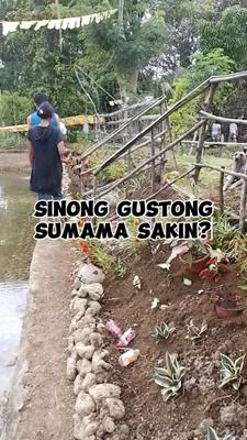damay damay nato
