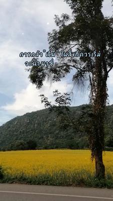 เริ่มและเลิกบางสิ่ง