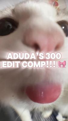 COMP HAHHA repost