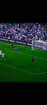BELLIGOAL FOR COMP