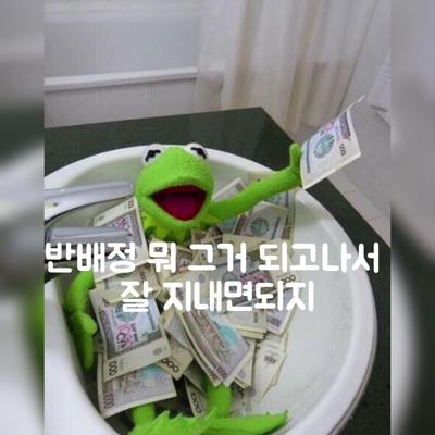 반배정^^