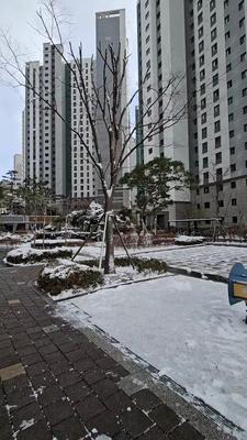 이번에도 행복했던 2023