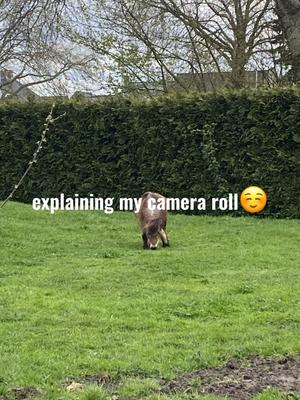 Explaining cam roll