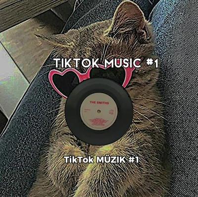 Tiktok Müzik 1