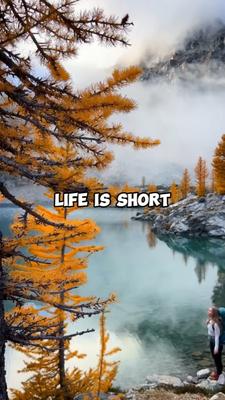 Life is short