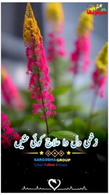 زخمی دل 