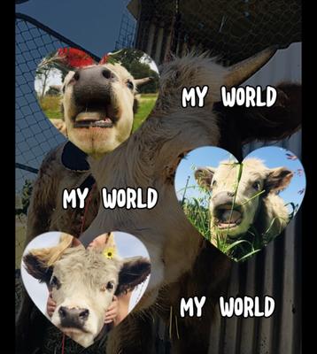 U will be my world 