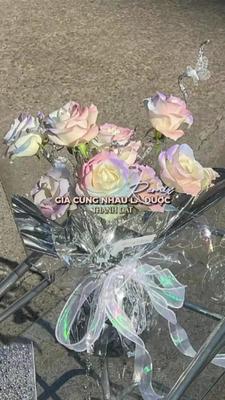GCNLD 3 Ảnh