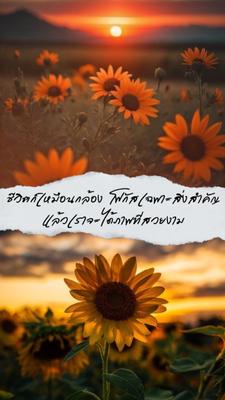 โฟกัสเฉพาะสิ่งสำคัญ