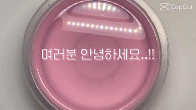 공론화 | 손공예정영상