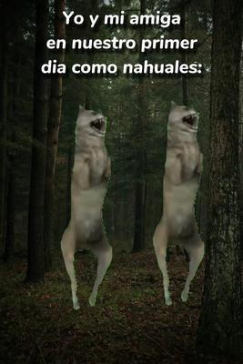 Yo y mi amiga en nue