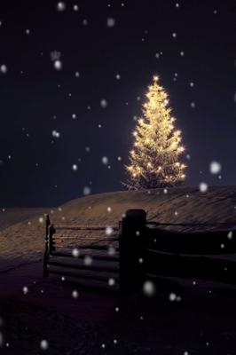 クリスマス