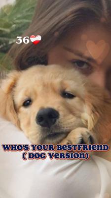 Whos your bestfriend