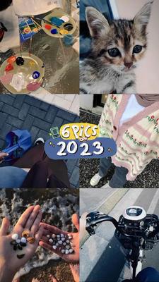 6 pics on 2023