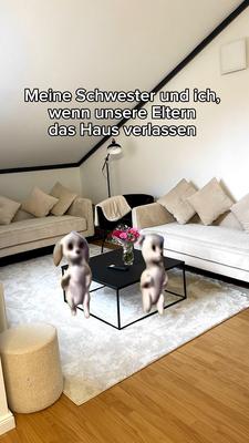 Geschwister be like 