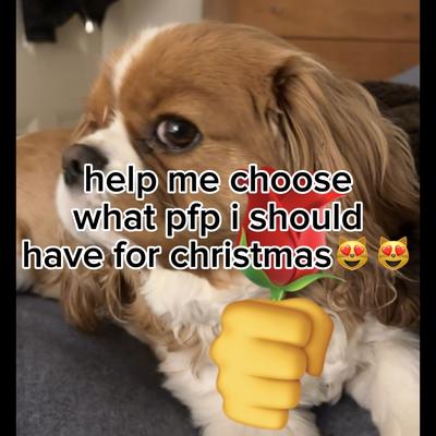 help me choose