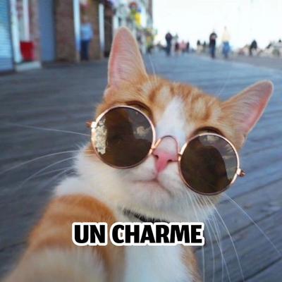 UN CHARME NATUREL 