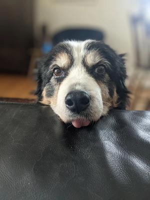 fly high my beautifu