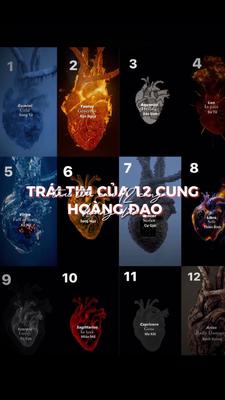 12 cung hoàng đạo 