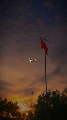 Mẫu 1 ảnh 
