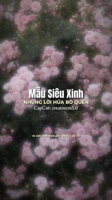 [2] Ảnh Xinh 