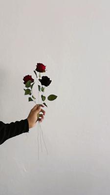 طفله مدلله