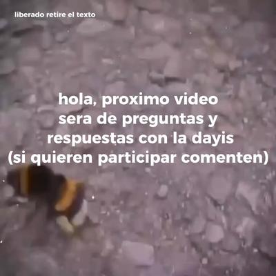 preguntas con dayis