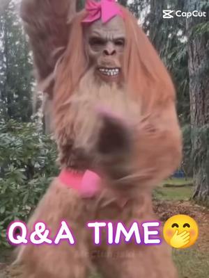 Ask me anything