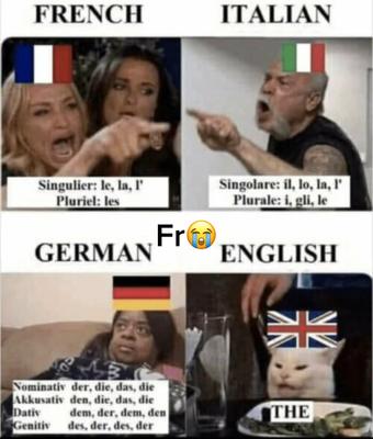 Memes I stole from t