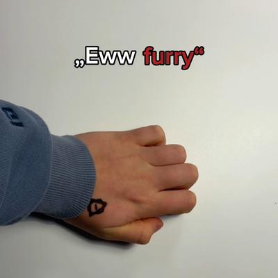 I‘m not a furry