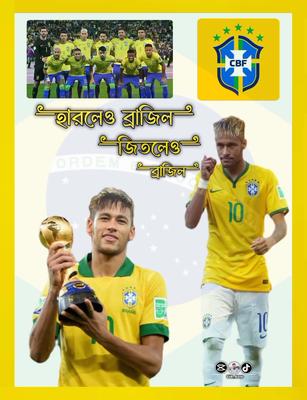 হারলের ব্রাজিল ভিডিও