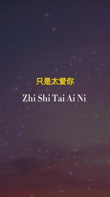只是太爱你