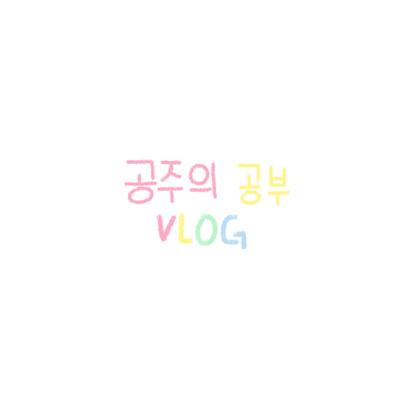 공주의 공부 브이로그