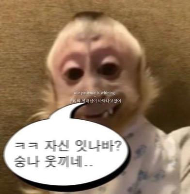 바다님 서바이벌