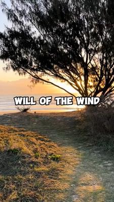 will of the wind