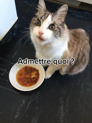 Ne pars pas stp…