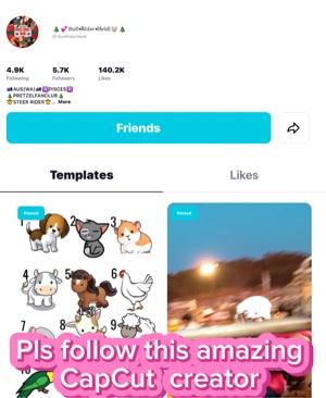 Pls follow her!! 