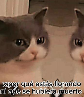 por qué se fue...