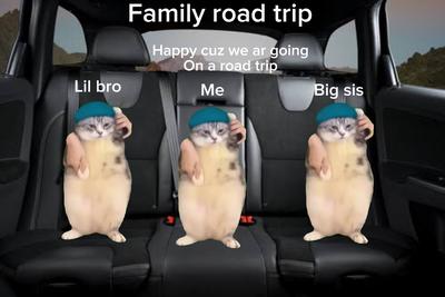 Family road trip