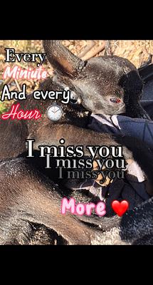 I luv ya coco