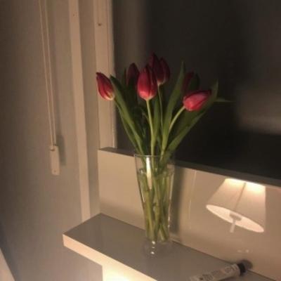 글씨 크로마키