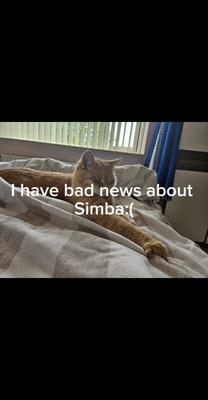 Bad news about simba
