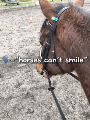 Chief’s smile was 