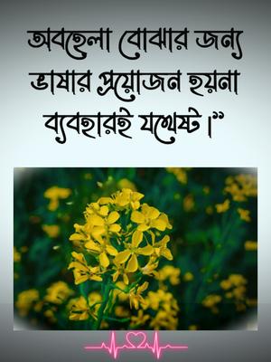 অবহেলা বোঝার জন্য 